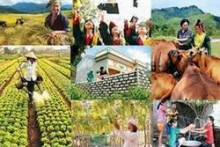 Thành lập BCĐ Trung ương các chương trình mục tiêu quốc gia
