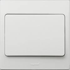 WHITE 1G 1W 20A DP SWITCH     
