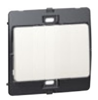 PEARLM 1G 1W 10A SWITCH       
